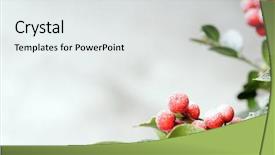  Presentation with snow - Slide deck having snow branch - christmas background background and a white colored foreground