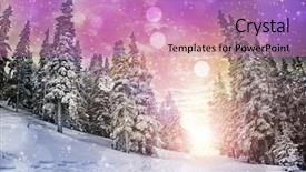  Presentation with winter landscape winter tree - Slides having snow branch - vivid winter landscape background and a coral colored foreground