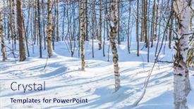  Presentation with forest - Slide deck with snow-covered coniferous forest lapland the concept of extreme and active tourism background and a light blue colored foreground