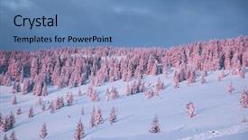 Presentation with sun rise - Amazing slides having snow covered fir tree backdrop and a teal colored foreground