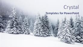  Presentation with magical - Beautiful slide deck featuring snow-covered-fir-trees-magical backdrop and a sky blue colored foreground
