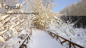  Presentation with forest morning - PPT layouts consisting of snow-covered forest frosty morning background and a mint green colored foreground
