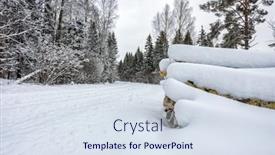  Presentation with forest road - PPT theme consisting of snow-covered-forest-road background and a sky blue colored foreground