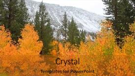  Presentation with nevada - Theme with bright rugged yellow - snow covered mountains and aspen background and a gold colored foreground