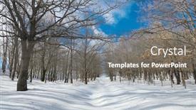  Presentation with forest winter - Beautiful slide set featuring snow-covered-path-crosses-winter backdrop and a gray colored foreground