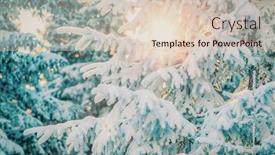  Presentation with pine trees - PPT theme with snow-covered-pine-trees-amazing background and a lemonade colored foreground