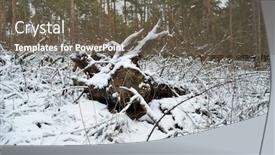  Presentation with winter forest - Theme having snow-covered-plants background and a gray colored foreground