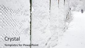  Presentation with white snow - Audience pleasing theme consisting of covered rabitz grid lattice fence backdrop and a white colored foreground