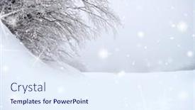  Presentation with sparkle - Audience pleasing presentation theme consisting of snow-covered-tree-with-sparkle backdrop and a sky blue colored foreground