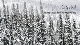  Presentation with canada - Colorful slides enhanced with snow covered trees in whistler canada backdrop and a light gray colored foreground