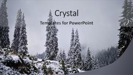  Presentation with forest winter - Slide deck enhanced with snow covered trees in the forest in winter background and a light gray colored foreground