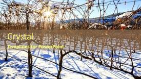  Presentation with arizona - Colorful presentation theme enhanced with snow covered vineyard near cottonwood arizona backdrop and a violet colored foreground