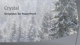 Presentation with spruce - PPT layouts having snow-covered-winter-forest-under background and a light gray colored foreground