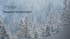  Presentation with spruce - Slide deck consisting of snow-covered-winter-forest-under background and a light blue colored foreground