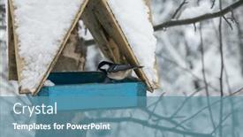  Presentation with forest winter - PPT layouts having snow-covered-wooden-bird-feeder background and a teal colored foreground