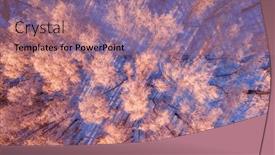  Presentation with forest morning - Beautiful theme featuring snow-covers-a-birch-forest backdrop and a coral colored foreground