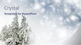  Presentation with pine trees - Slide set with snow-cowered-pine-trees background and a sky blue colored foreground