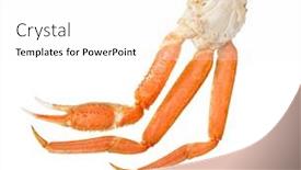  Presentation with white snow - Amazing PPT theme having snow-crab-cluster-isolated backdrop and a white colored foreground