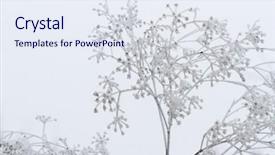  Presentation with falling snow - Presentation theme with snow falling - winter scene background and a  colored foreground