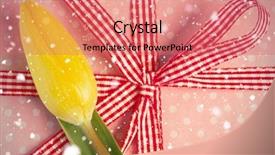  Presentation with falling snow - Slides consisting of snow falling against yellow background and a coral colored foreground