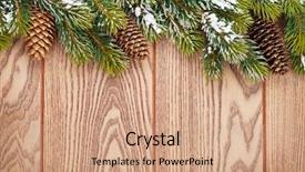  Presentation with pinecones - Presentation theme having snow fir tree and pinecones background and a coral colored foreground
