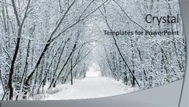  Presentation with snails and forest - Slide set featuring snow forest alley background and a light gray colored foreground