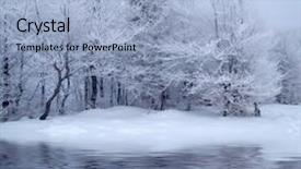  Presentation with trees - Cool new slides with snow forest way - winter trees backdrop and a  colored foreground