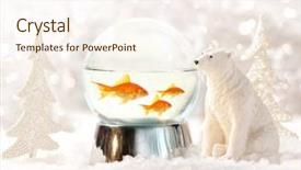  Presentation with winter scene - Presentation theme enhanced with snow globe with fish background and a cream colored foreground