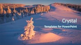  Presentation with spruce - Slide set having winter landscape on a sunny background and a ocean colored foreground