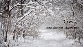  Presentation with blizzard - Presentation theme having snow in winter blizzard background and a light gray colored foreground