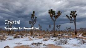  Presentation with joshua tree national park - Slides enhanced with snow-landscape-in-joshua-tree background and a ocean colored foreground