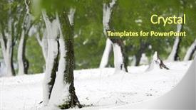  Presentation with green leaves - PPT layouts enhanced with snow late snowfall in april background and a tawny brown colored foreground