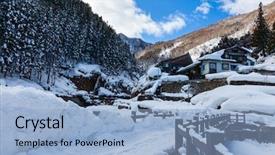  Presentation with snow - PPT theme having snow-monkey-japanese-macaque background and a light blue colored foreground