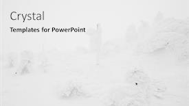  Presentation with mountain snow - PPT theme having snow-monsters-area-mountain-zao background and a white colored foreground