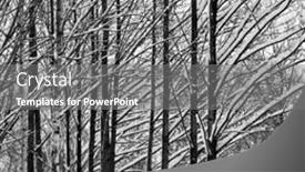  Presentation with forest winter - Audience pleasing presentation theme consisting of snow on branches of trees backdrop and a gray colored foreground