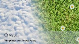  Presentation with daisy - Slide set having snow-on-field-and-green background and a lemonade colored foreground