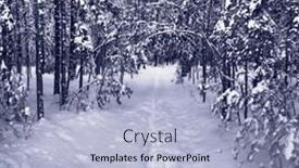  Presentation with winter forest - Colorful presentation theme enhanced with  backdrop and a  colored foreground