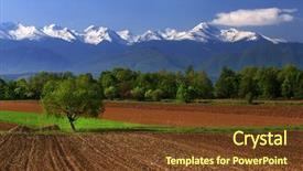  Presentation with romania - Amazing presentation theme having front view of interior with small table chairs floor lamps and multiple blank picture frames on wooden plank wall with daylight and shadows mock up 3d rendering backdrop and a gray colored foreground