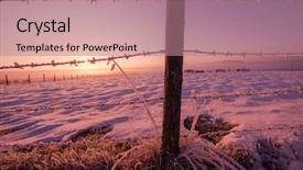  Presentation with barbed wire fence prison concept - Colorful PPT theme enhanced with snow representing imigration and security backdrop and a coral colored foreground