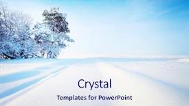  Presentation with winter road and branch - Audience pleasing PPT theme consisting of snow scene - winter countryside road and trees backdrop and a sky blue colored foreground