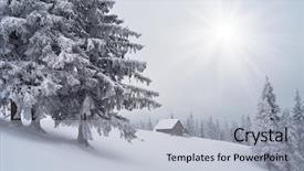  Presentation with winter scene - Amazing PPT theme having snow scene - wooden cottage in the mountains backdrop and a light gray colored foreground