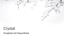  Presentation with beauty - PPT theme consisting of trees covered with snow solitude background and a white colored foreground