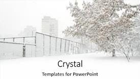  Presentation with winter and trees - Colorful PPT layouts enhanced with winter beauty park with trees backdrop and a white colored foreground