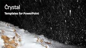  Presentation with winter storm - PPT theme consisting of snow storm - beautiful night snowfall winter landscape background and a black colored foreground