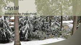  Presentation with snow tree - Amazing theme having snow storm - tree broken by heavy snowfall backdrop and a mint green colored foreground