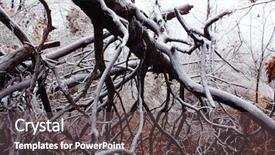 Presentation with winter ice - Amazing PPT theme having snow storm - trees under the weight backdrop and a dark gray colored foreground