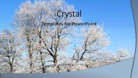  Presentation with tree river - Amazing PPT theme having snow tree on coast river backdrop and a teal colored foreground