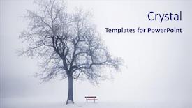  Presentation with winter scene - Audience pleasing theme consisting of snow white - foggy winter scene with leafless backdrop and a sky blue colored foreground