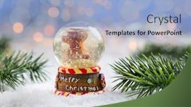  Presentation with snowball - Amazing presentation theme having snowball-with-branch-on-snow backdrop and a light blue colored foreground