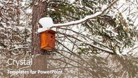  Presentation with tree - Cool new presentation with snowcovered-birdhouse-on-a-tree backdrop and a coral colored foreground